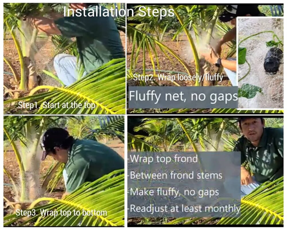 Rhinoceros Beetles Trap & Rat Deterrent Netting - Image 4