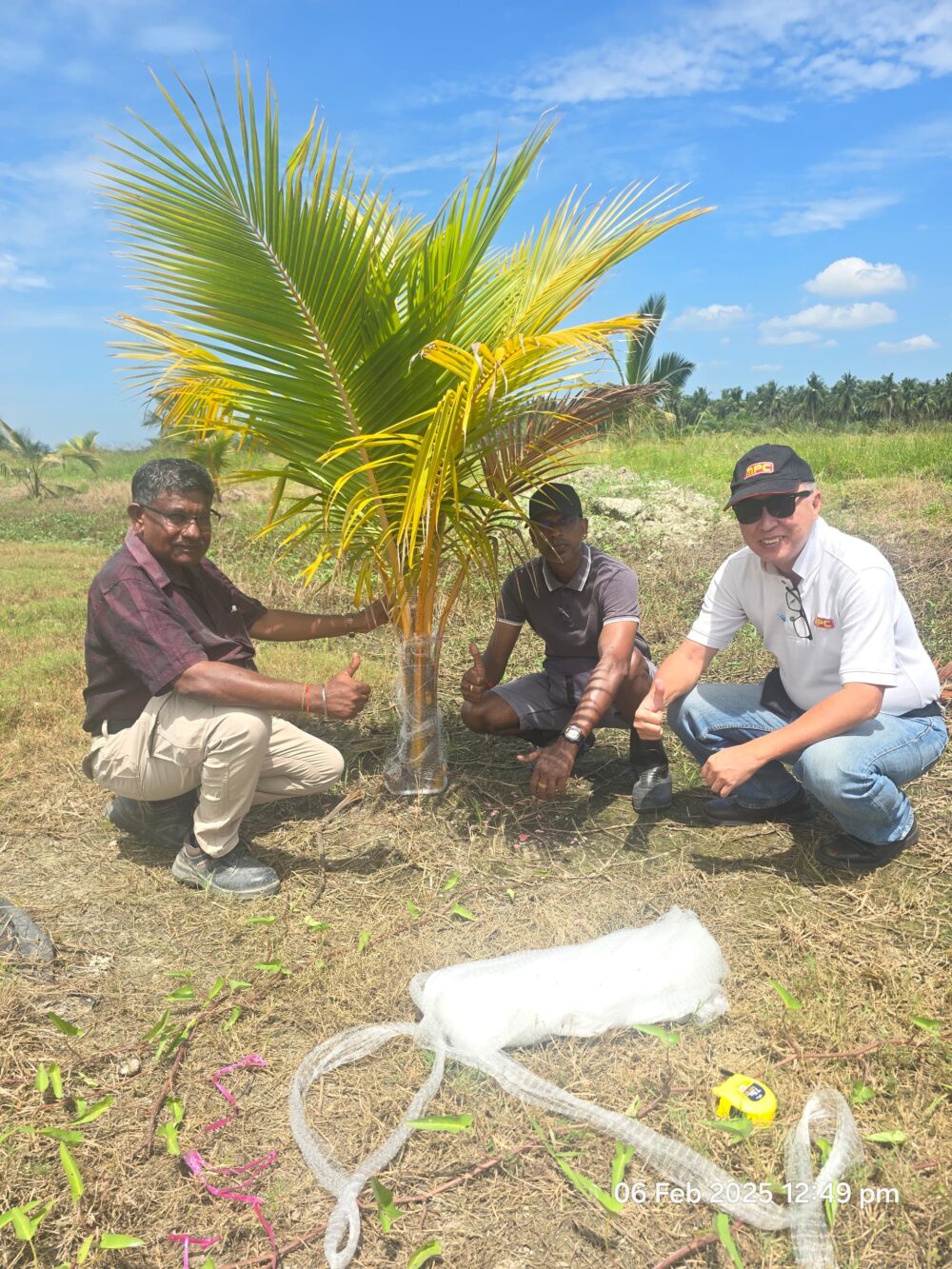 Rhinoceros Beetles Trap & Rat Deterrent Netting - Image 8