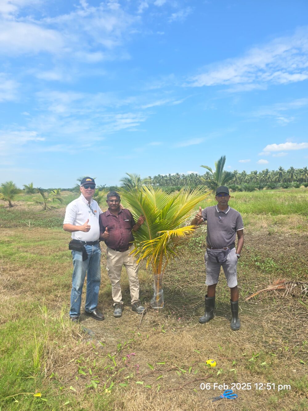 Rhinoceros Beetles Trap & Rat Deterrent Netting - Image 9